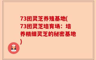 73团灵芝养殖基地(73团灵芝培育场：培养精细灵芝的秘密基地)
