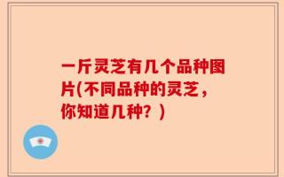 一斤灵芝有几个品种图片(不同品种的灵芝，你知道几种？)