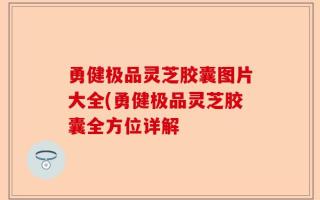勇健极品灵芝胶囊图片大全(勇健极品灵芝胶囊全方位详解