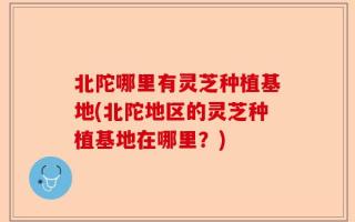 北陀哪里有灵芝种植基地(北陀地区的灵芝种植基地在哪里？)