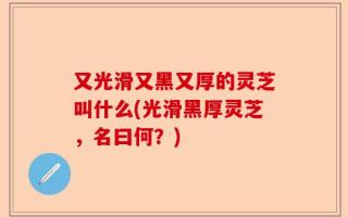又光滑又黑又厚的灵芝叫什么(光滑黑厚灵芝，名曰何？)