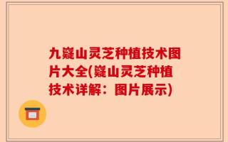 九嶷山灵芝种植技术图片大全(嶷山灵芝种植技术详解：图片展示)