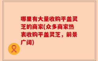 哪里有大量收购平盖灵芝的商家(众多商家热衷收购平盖灵芝，前景广阔)