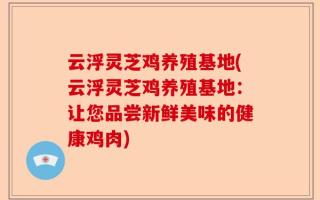 云浮灵芝鸡养殖基地(云浮灵芝鸡养殖基地：让您品尝新鲜美味的健康鸡肉)