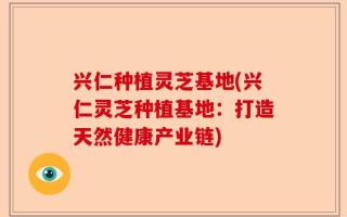 兴仁种植灵芝基地(兴仁灵芝种植基地：打造天然健康产业链)