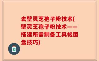去壁灵芝孢子粉技术(壁灵芝孢子粉技术——搭建所需制备工具梭菌盘技巧)