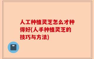 人工种植灵芝怎么才种得好(人手种植灵芝的技巧与方法)