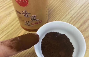 灵芝孢子粉排毒反应是怎样的?严重吗? 灵芝孢子粉排毒反应是怎样的?严重吗?