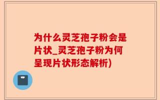 为什么灵芝孢子粉会是片状_灵芝孢子粉为何呈现片状形态解析)