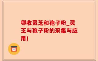 哪收灵芝和孢子粉_灵芝与孢子粉的采集与应用)