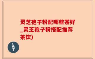 灵芝孢子粉配哪些茶好_灵芝孢子粉搭配推荐茶饮)