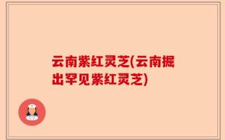 云南紫红灵芝(云南掘出罕见紫红灵芝)