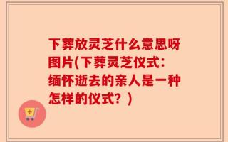 下葬放灵芝什么意思呀图片(下葬灵芝仪式：缅怀逝去的亲人是一种怎样的仪式？)