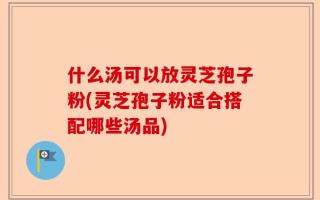 什么汤可以放灵芝孢子粉(灵芝孢子粉适合搭配哪些汤品)