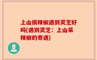 上山摘辣椒遇到灵芝好吗(遇到灵芝：上山采辣椒的奇遇)