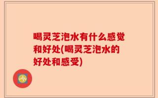 喝灵芝泡水有什么感觉和好处(喝灵芝泡水的好处和感受)