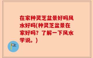 在家种灵芝盆景好吗风水好吗(种灵芝盆景在家好吗？了解一下风水学说。)