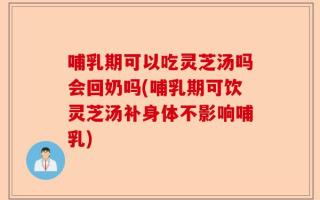 哺乳期可以吃灵芝汤吗会回奶吗(哺乳期可饮灵芝汤补身体不影响哺乳)