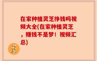 在家种植灵芝挣钱吗视频大全(在家种植灵芝，赚钱不是梦！视频汇总)