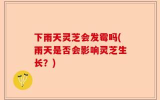 下雨天灵芝会发霉吗(雨天是否会影响灵芝生长？)