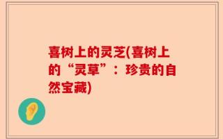 喜树上的灵芝(喜树上的“灵草”：珍贵的自然宝藏)