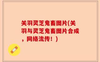 关羽灵芝鬼畜图片(关羽与灵芝鬼畜图片合成，网络流传！)