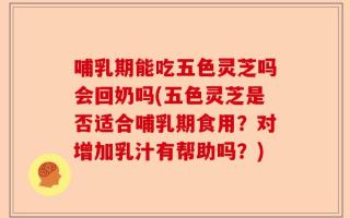 哺乳期能吃五色灵芝吗会回奶吗(五色灵芝是否适合哺乳期食用？对增加乳汁有帮助吗？)