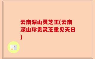 云南深山灵芝王(云南深山珍贵灵芝重见天日)