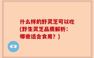 什么样的野灵芝可以吃(野生灵芝品质解析：哪些适合食用？)