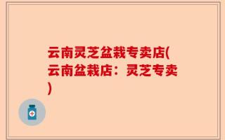 云南灵芝盆栽专卖店(云南盆栽店：灵芝专卖)