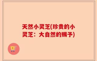 天然小灵芝(珍贵的小灵芝：大自然的赐予)