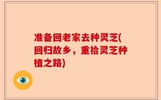 准备回老家去种灵芝(回归故乡，重拾灵芝种植之路)