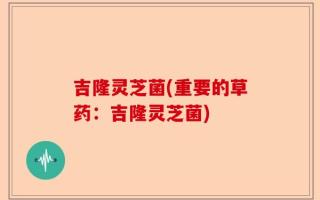 吉隆灵芝菌(重要的草药：吉隆灵芝菌)