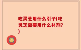吃灵芝用什么引子(吃灵芝需要用什么补剂？)