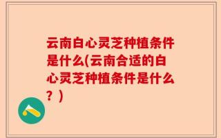 云南白心灵芝种植条件是什么(云南合适的白心灵芝种植条件是什么？)