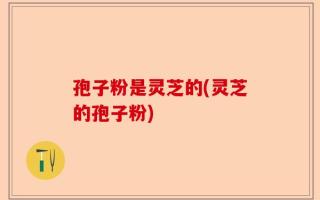 孢子粉是灵芝的(灵芝的孢子粉)