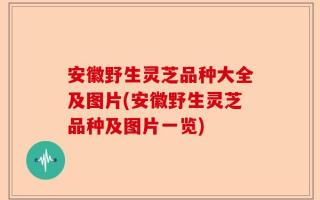 安徽野生灵芝品种大全及图片(安徽野生灵芝品种及图片一览)