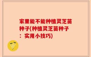 家里能不能种植灵芝苗种子(种植灵芝苗种子：实用小技巧)