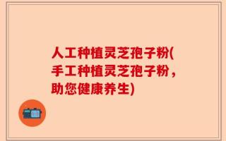 人工种植灵芝孢子粉(手工种植灵芝孢子粉，助您健康养生)