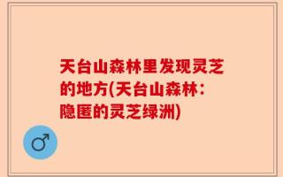 天台山森林里发现灵芝的地方(天台山森林：隐匿的灵芝绿洲)
