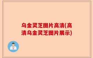 乌金灵芝图片高清(高清乌金灵芝图片展示)
