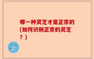 哪一种灵芝才是正宗的(如何识别正宗的灵芝？)
