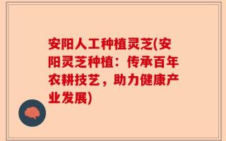 安阳人工种植灵芝(安阳灵芝种植：传承百年农耕技艺，助力健康产业发展)