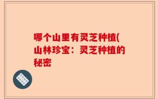 哪个山里有灵芝种植(山林珍宝：灵芝种植的秘密