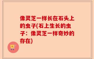 像灵芝一样长在石头上的虫子(石上生长的虫子：像灵芝一样奇妙的存在)