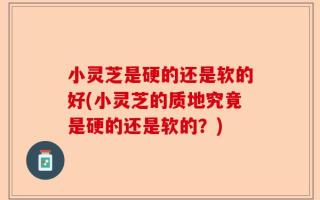小灵芝是硬的还是软的好(小灵芝的质地究竟是硬的还是软的？)