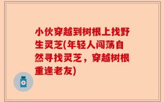 小伙穿越到树根上找野生灵芝(年轻人闯荡自然寻找灵芝，穿越树根重逢老友)