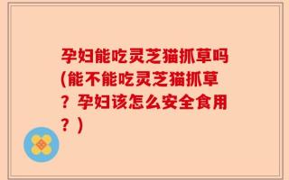 孕妇能吃灵芝猫抓草吗(能不能吃灵芝猫抓草？孕妇该怎么安全食用？)