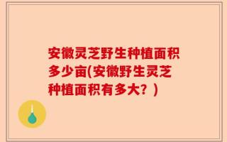 安徽灵芝野生种植面积多少亩(安徽野生灵芝种植面积有多大？)