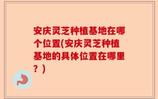 安庆灵芝种植基地在哪个位置(安庆灵芝种植基地的具体位置在哪里？)